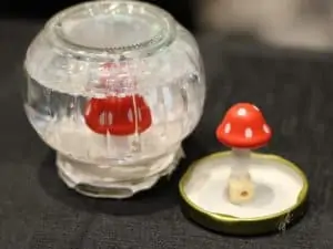 Alice in Wonderland Activities