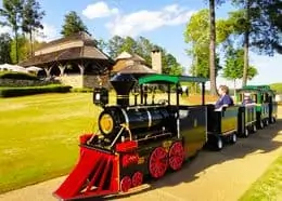 Trackless Train