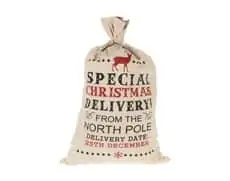 Special Christmas Delivery Bag