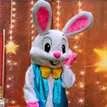Easter Bunny Mascot on Zoom